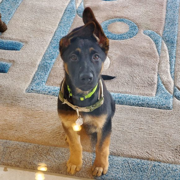 xavialovely